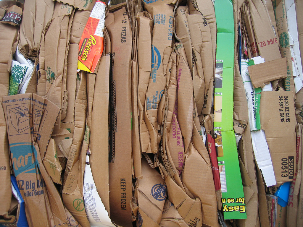 208383722_f3a37fd1f5_b